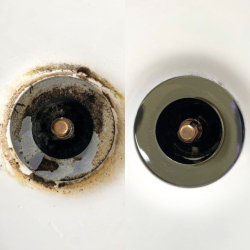 Boost Mug- og Skimmel