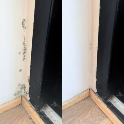 Boost Mug- og Skimmel