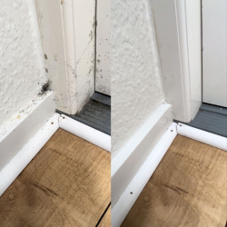 Boost Mug- og Skimmel