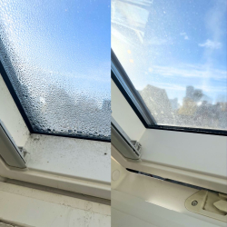 Boost Mug- og Skimmel